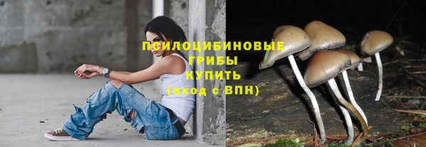 эйфоретик Богородицк