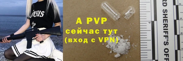 mdpv Богданович