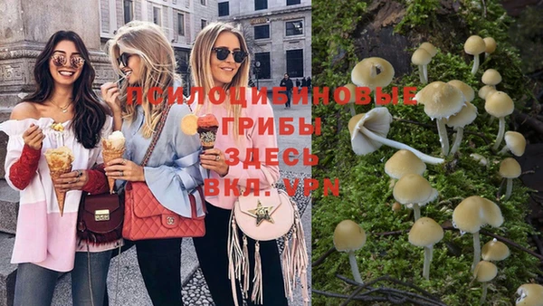 эйфоретик Богородицк