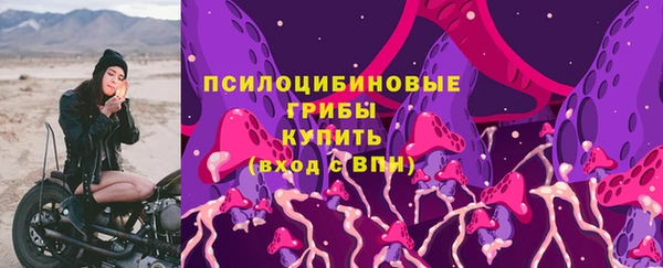 mdpv Богданович