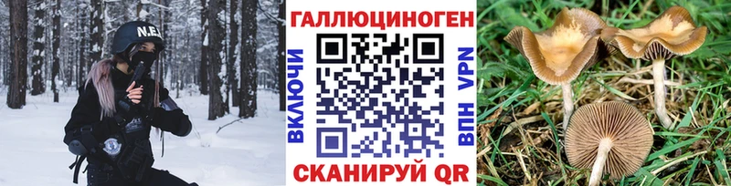 Псилоцибиновые грибы Psilocybine cubensis  кракен ТОР  Вологда 
