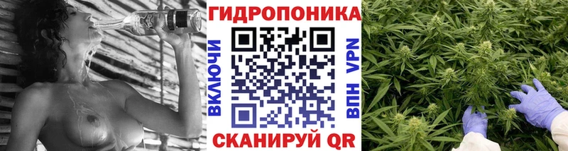 наркотики  Вологда  KRAKEN как войти  Шишки марихуана THC 21% 